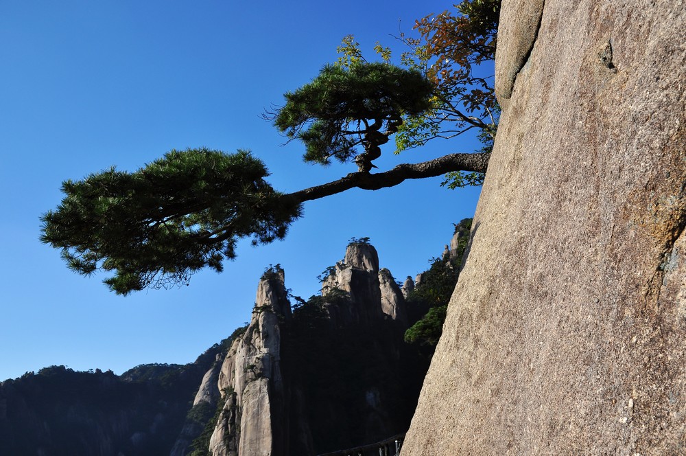 三清山风光 摄影 上海逍遥