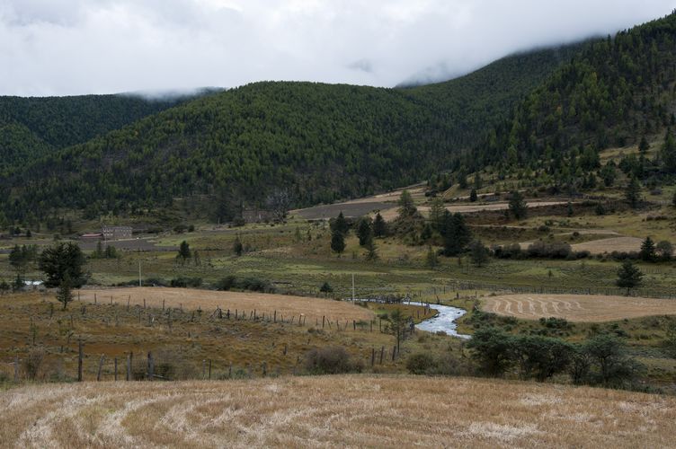 藏区田园 摄影 休闲心怡居