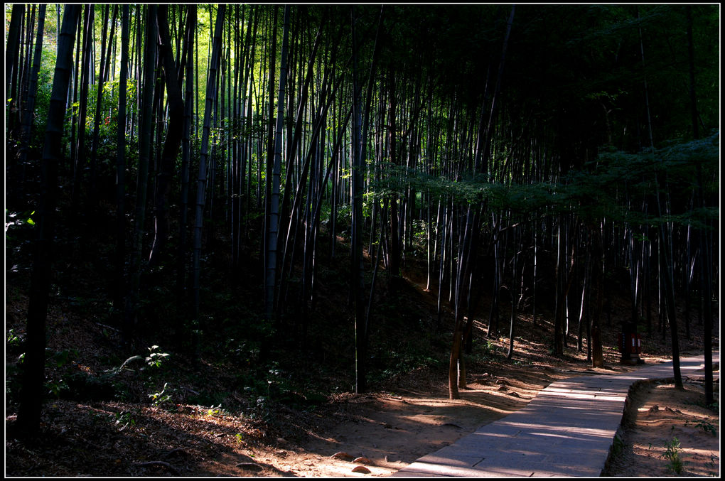 敬亭山风景 摄影 WA逆风飞扬