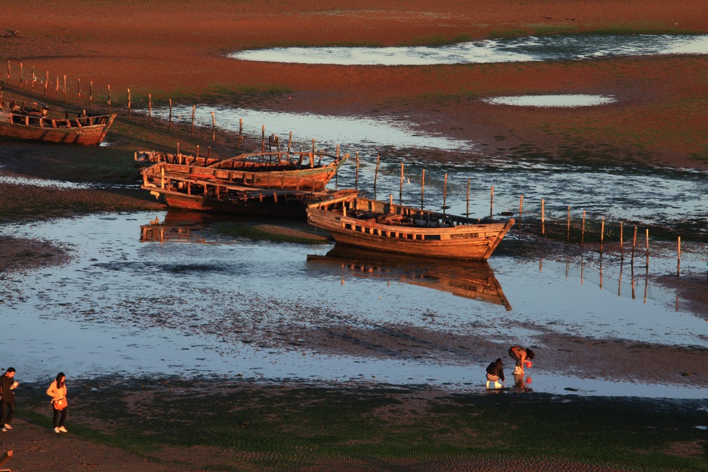 赶海 摄影 风清月朗