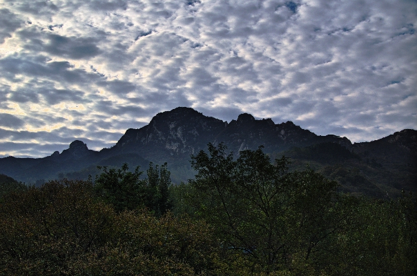 百花峪之晨 摄影 A一蓑烟雨