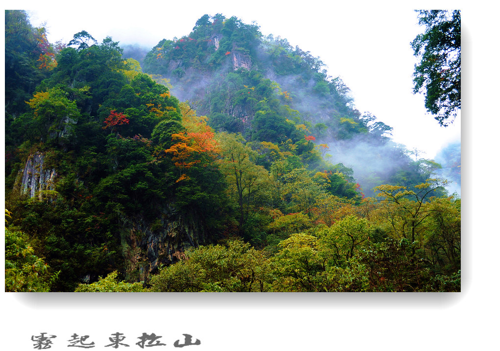 雾起东拉山（5） 摄影 竹林後山人