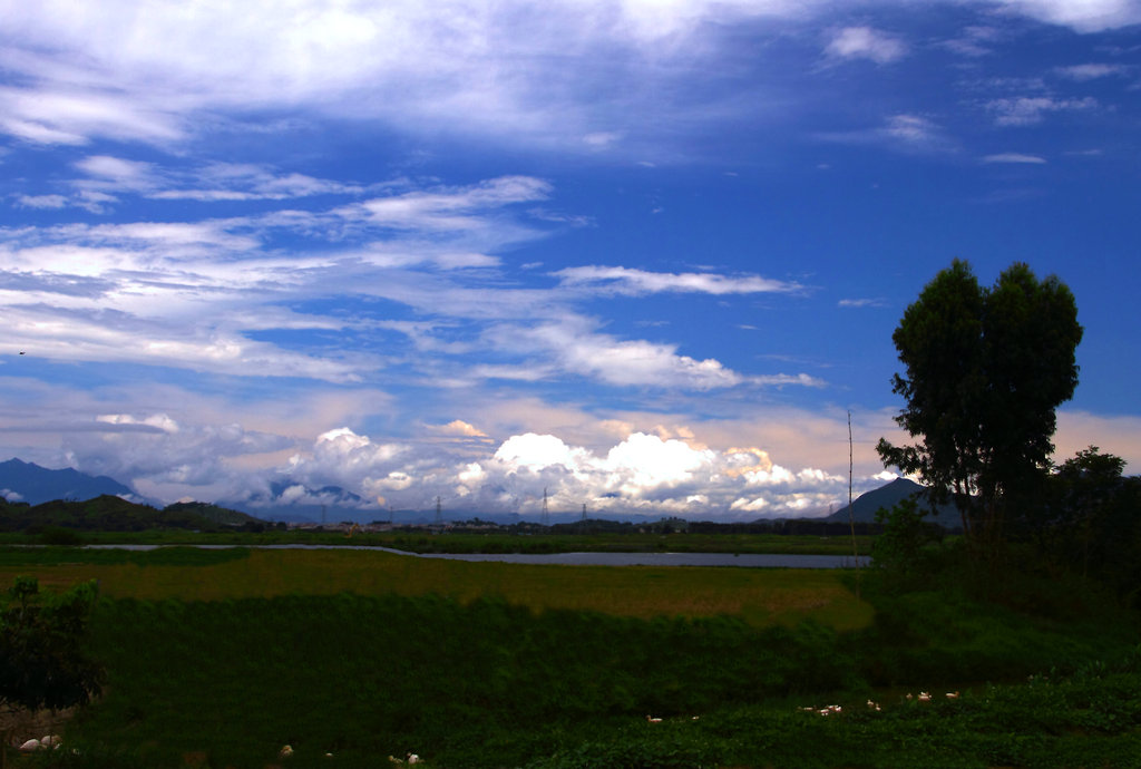 乡野 摄影 辉点