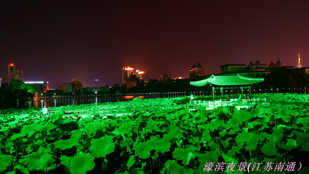 濠滨夜景 摄影 欢乐君