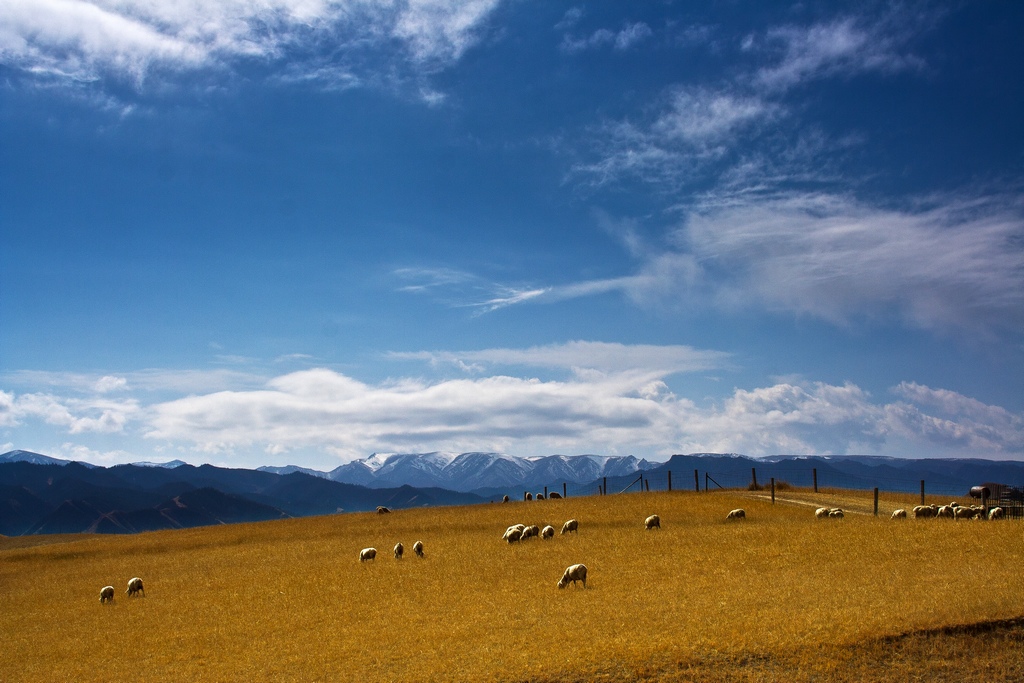 肃南康乐草原风光 摄影 云之山峰