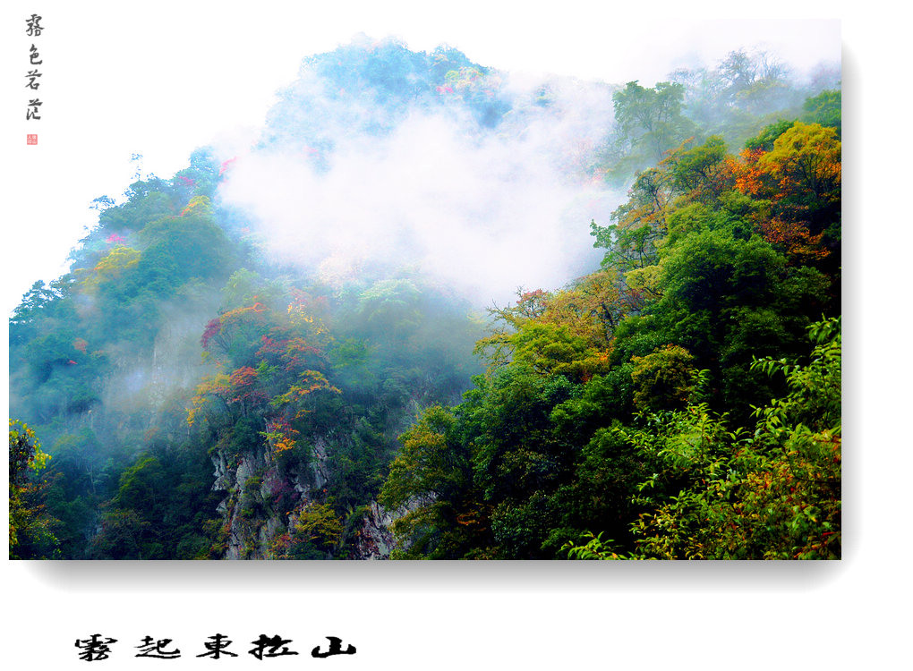 雾起东拉山（7） 摄影 竹林後山人