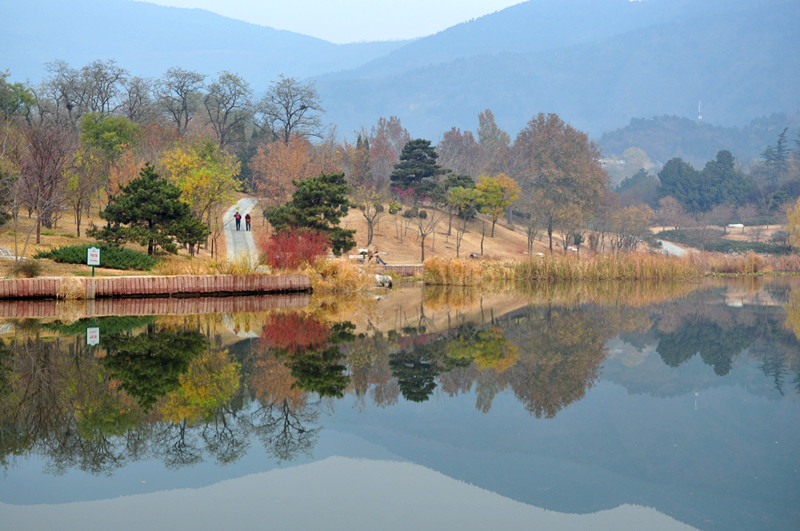 秋景 摄影 游天地