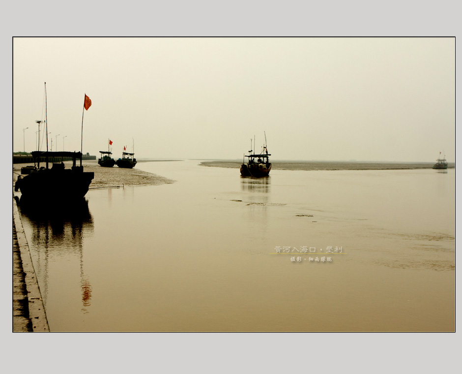 黄河入海口 摄影 细雨朦胧