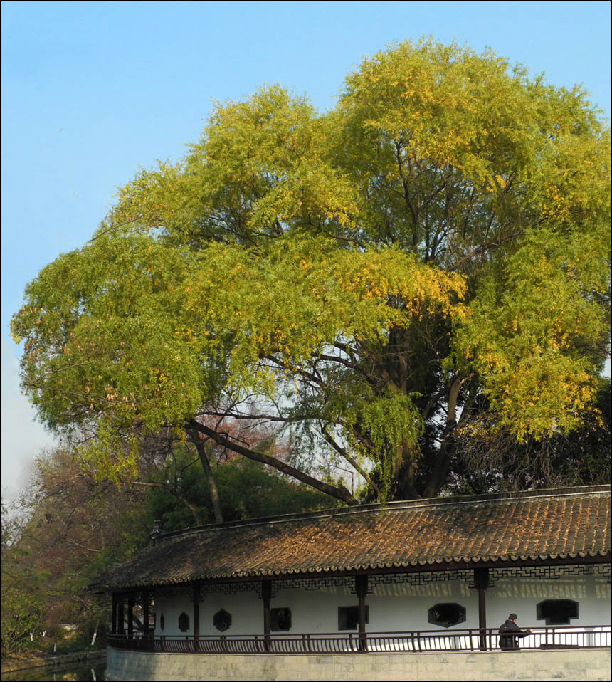 河边回廊 摄影 老尼康