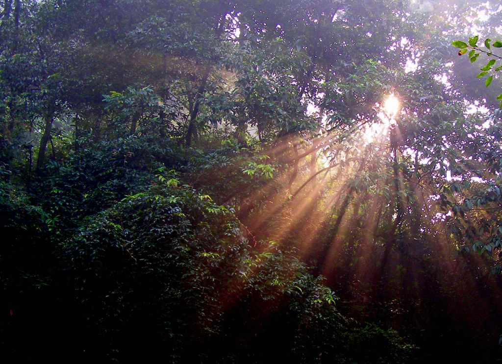 曦 摄影 纯棉布衣