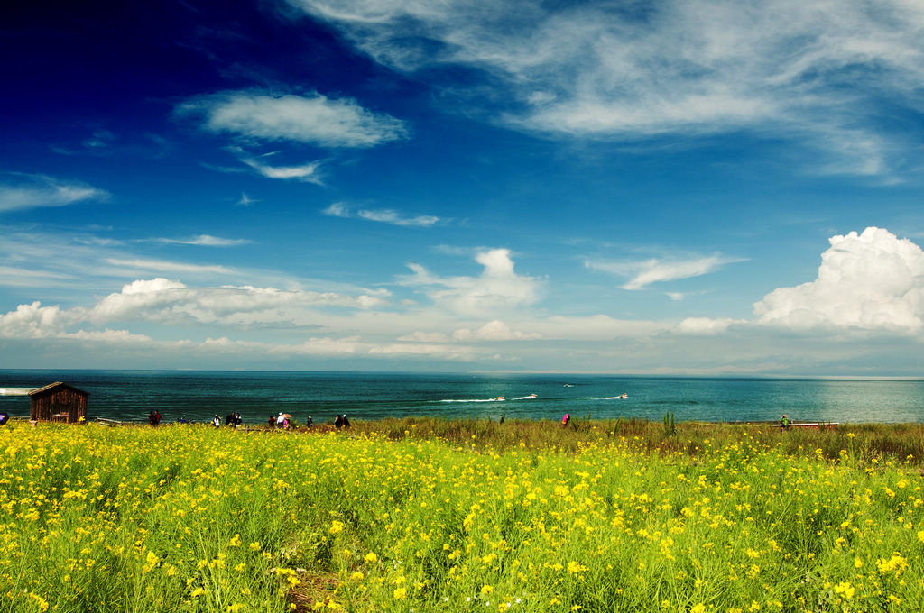 青海湖之行3 摄影 雨打芭焦