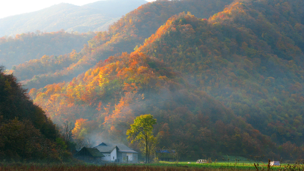 大巴山农家 摄影 地瓜大哥