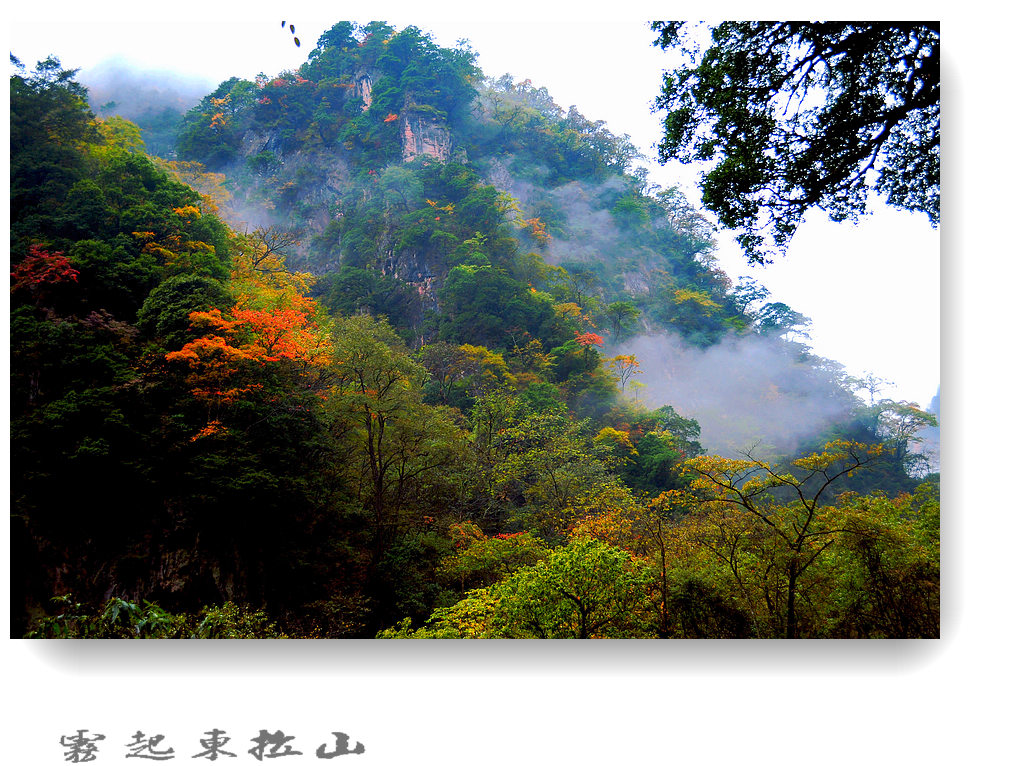 雾起东拉山（9） 摄影 竹林後山人