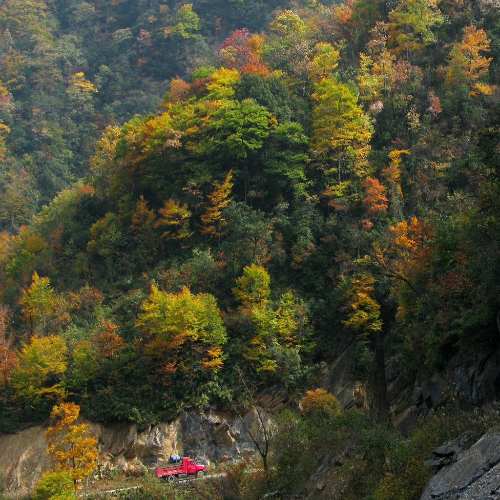 神龙架秋景 摄影 地瓜大哥