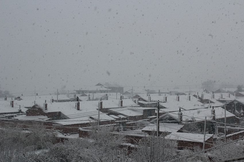 2012第一场大雪 摄影 大哥看点