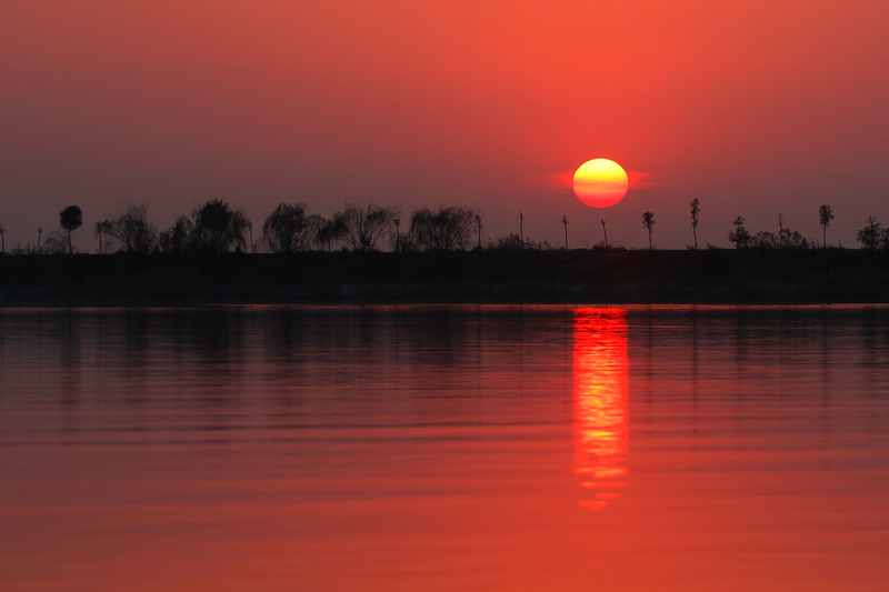 夕照衡水湖 摄影 闫俊冬