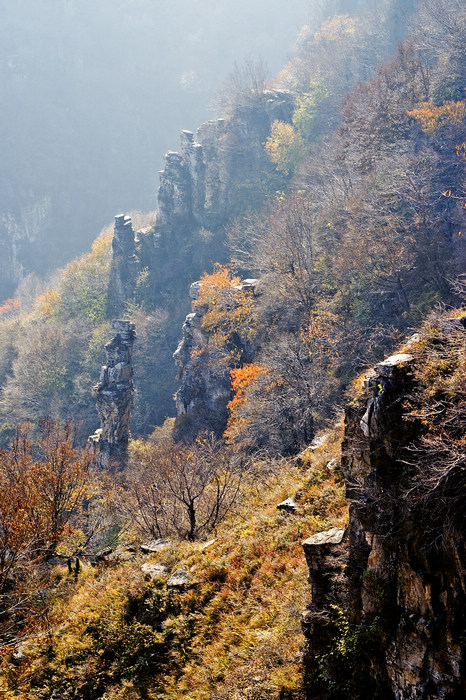 小石林 摄影 土戈