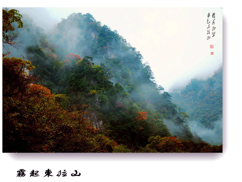 雾起东拉山（12） 摄影 竹林後山人