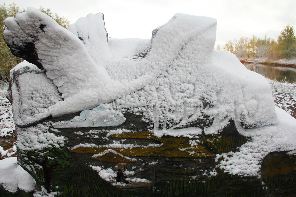 湿地落雪 摄影 新不老