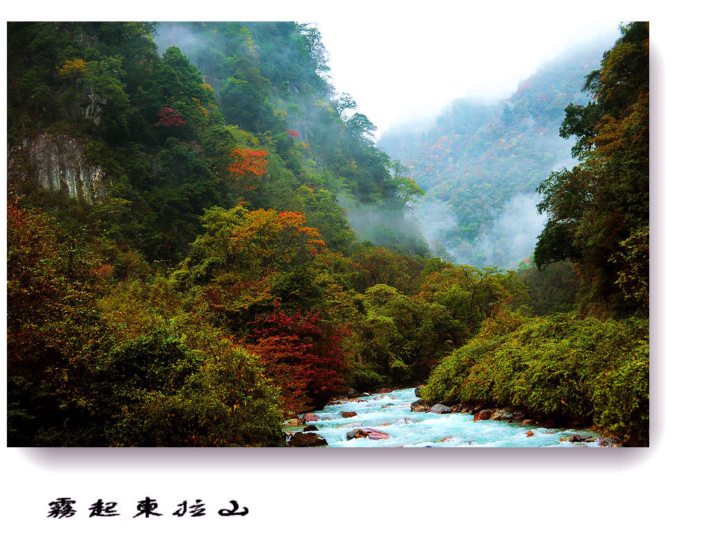 雾起东拉山（13） 摄影 竹林後山人