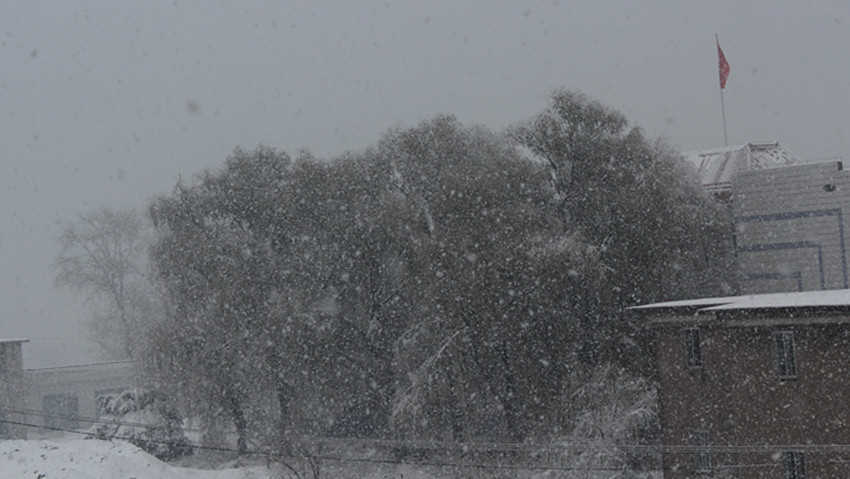 2012东北的第一场大雪 摄影 大哥看点