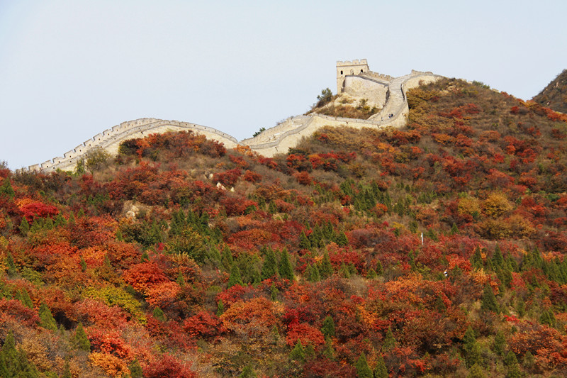 长城秋色2 摄影 游天地