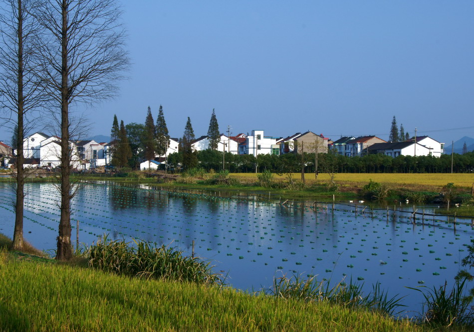 水乡新农村 摄影 古月古力