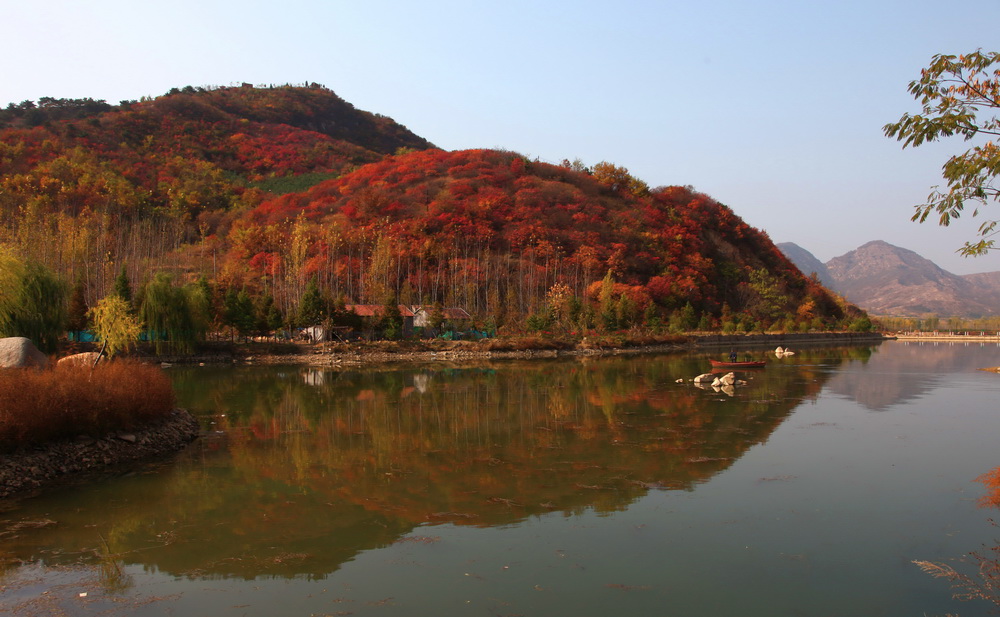 遍山红叶 摄影 银河方舟