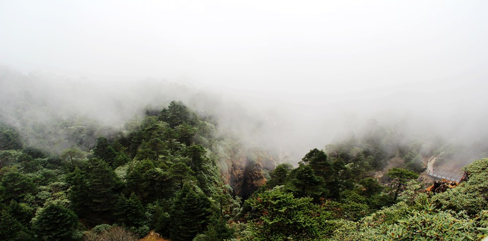 轿子山 摄影 傻瓜机使用者