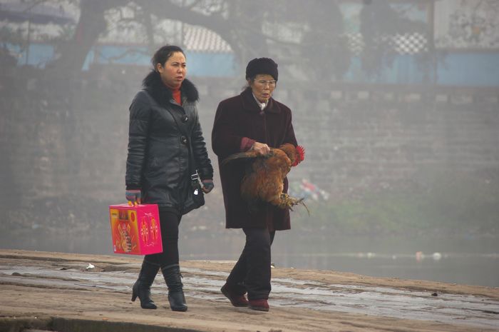 古镇随拍(系列） 摄影 任意飞翔的鱼