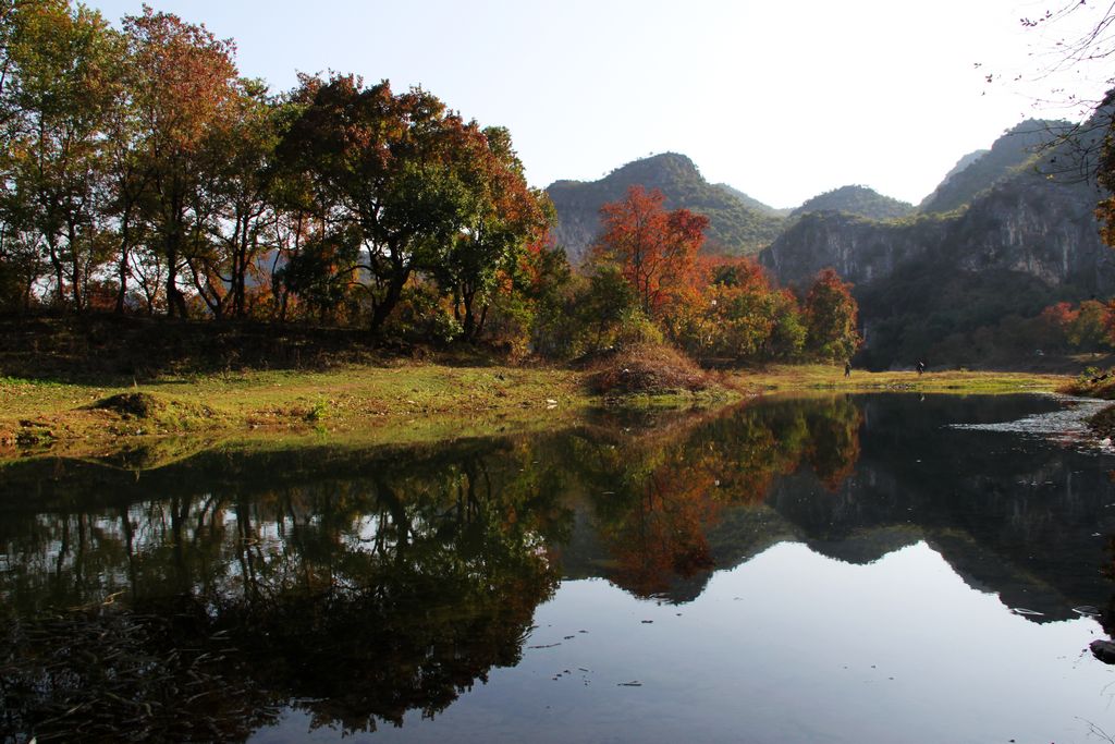 乌桕滩 摄影 心情小景