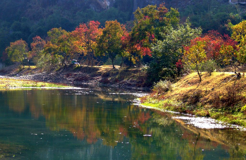 乌桕滩风光 摄影 心情小景