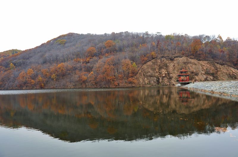 一潭秋水 摄影 雪白血红