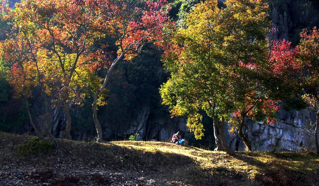 享受 摄影 心情小景