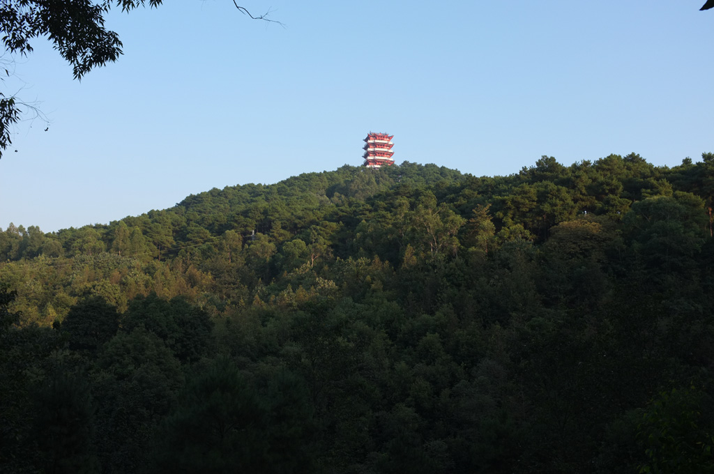 远眺 摄影 太阳照常升起