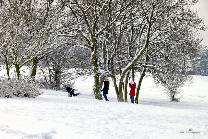 嬉雪1 摄影 澹泊镜远