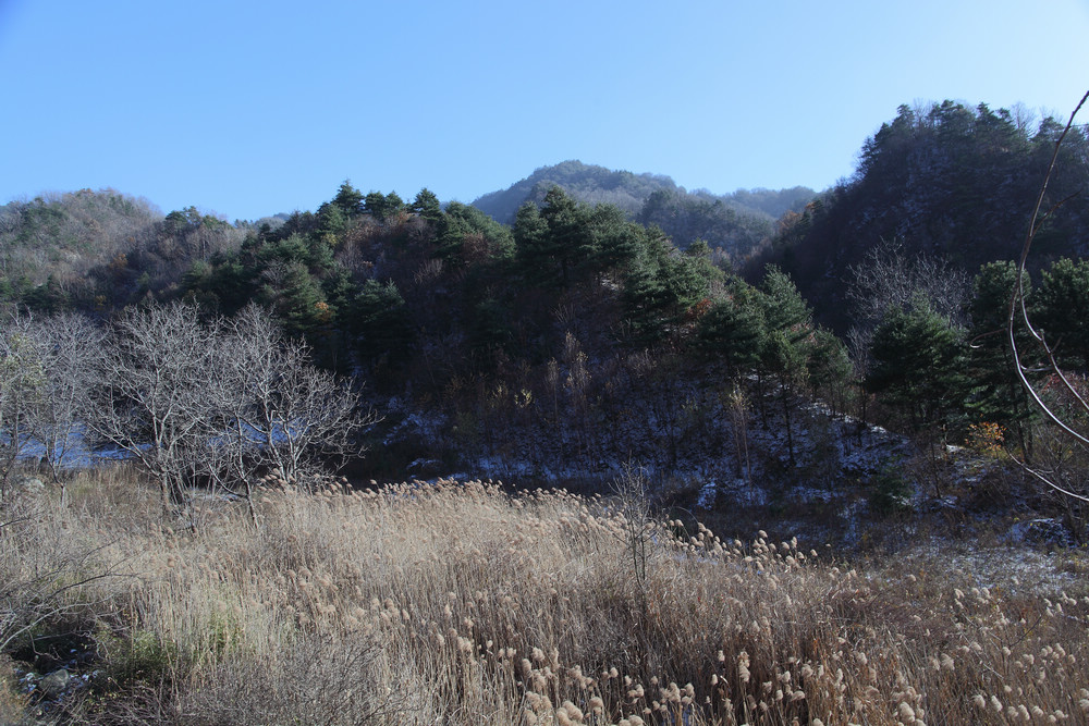 2012秦岭第一场冬雪 摄影 liyan