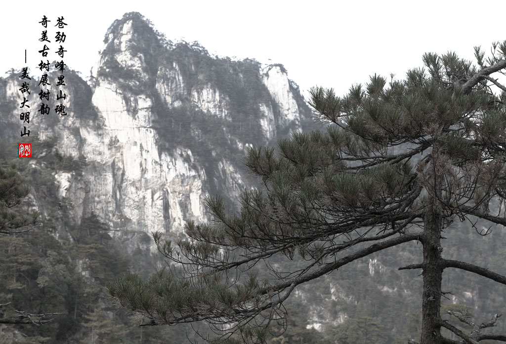 美哉大明山 摄影 安钢