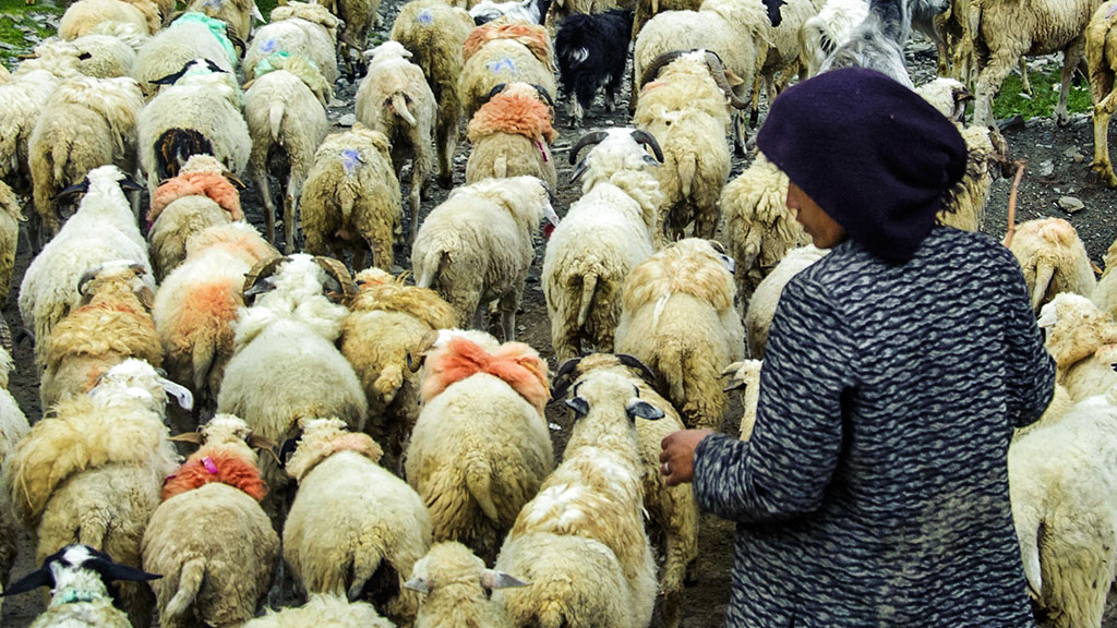 冈巴拉山风光（车拍）——3 摄影 水城人