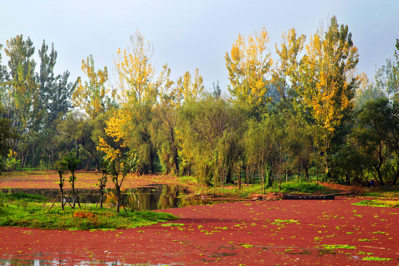 湿地小景 摄影 吕延均铁蹄