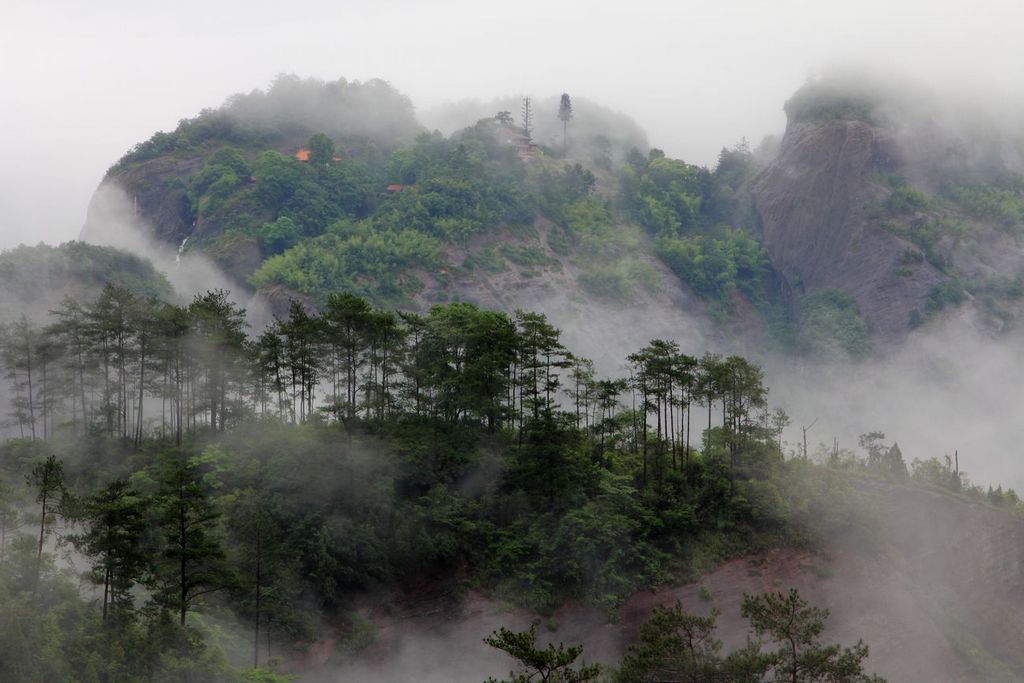 雨雾天游峰 摄影 郑大山人