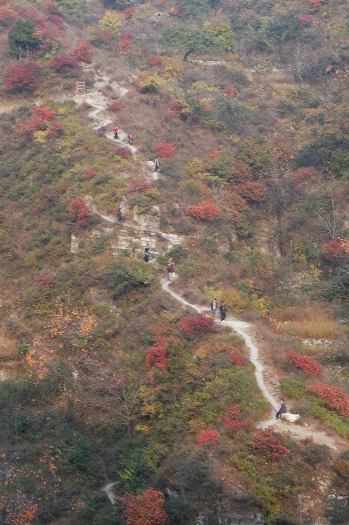 山上小路 摄影 燕飞