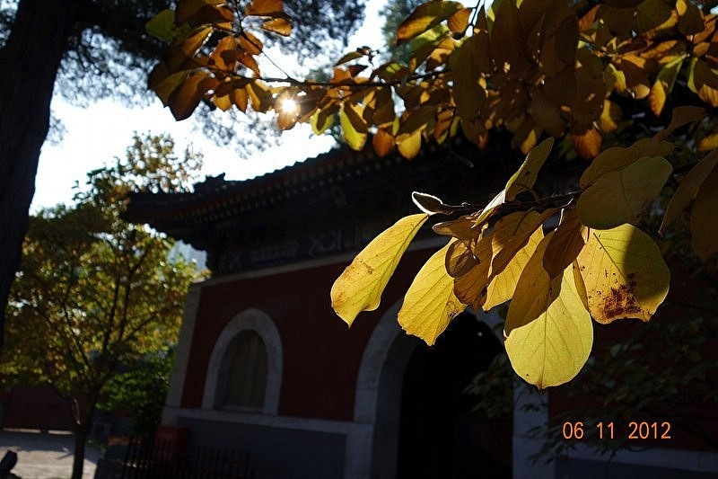 rx100秋访万寿寺 摄影 WA3210