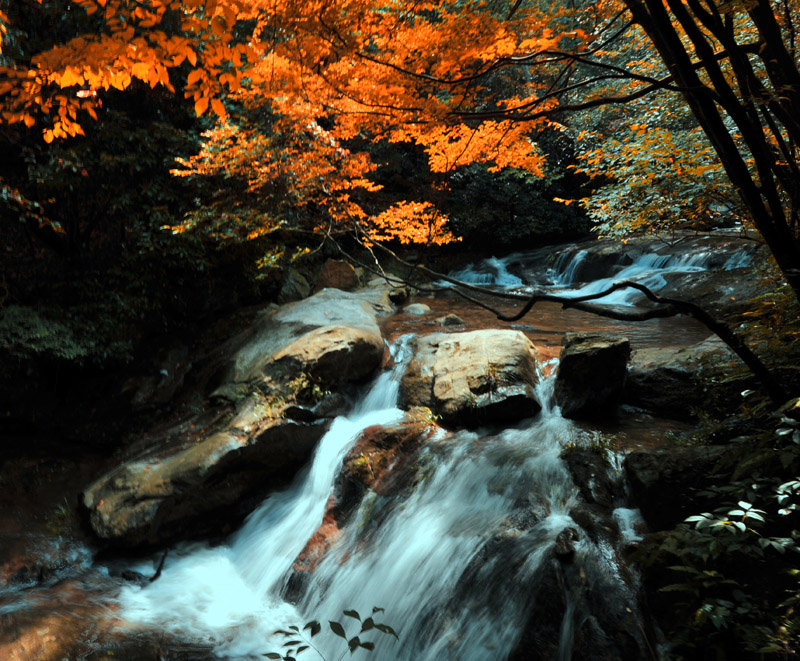 秋水 摄影 沧海1号