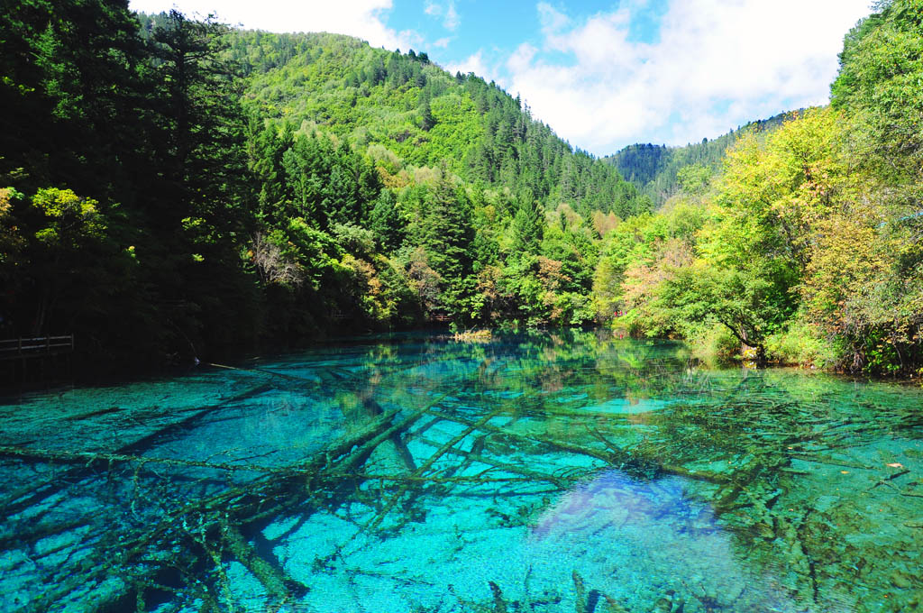 九寨沟五花海 摄影 薛片