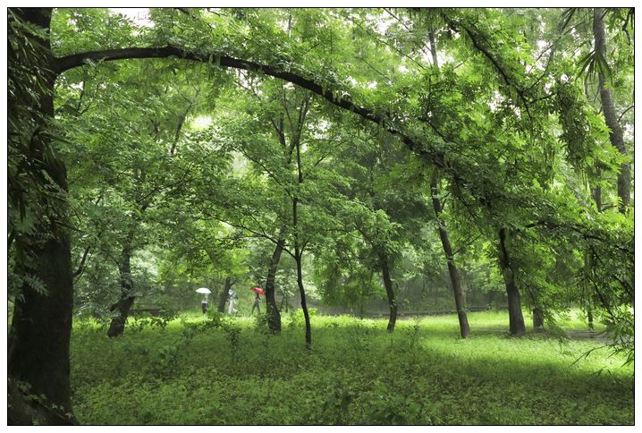 《夏日公园》 摄影 山水情缘