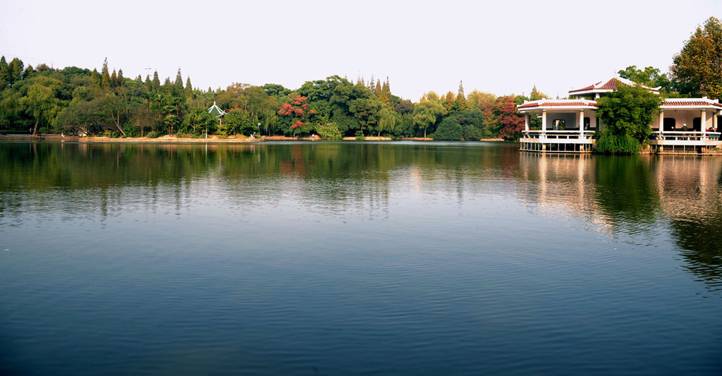 上海杨浦公园 摄影 沙地-光之影