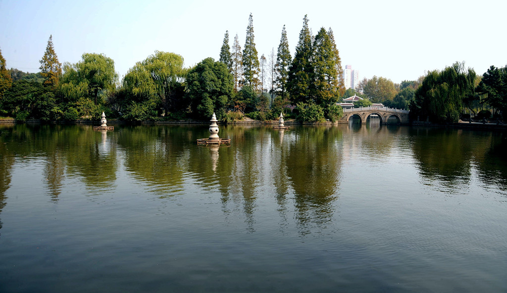 上海杨浦公园 摄影 沙地-光之影