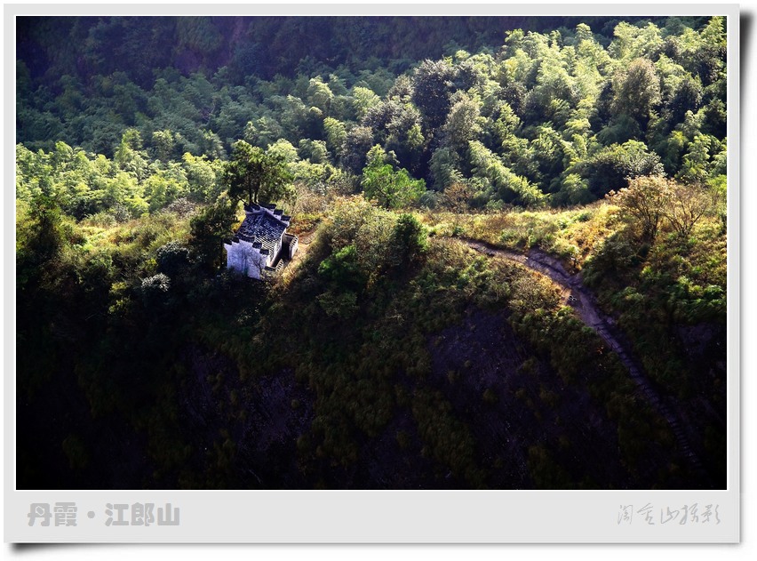 江郎山竹海 摄影 淘金山