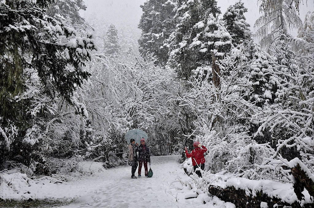 大雪纷飞摄雪景（4）--都是摄影人 摄影 蓉城一朵云